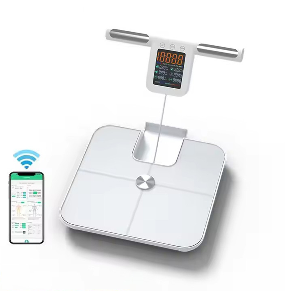 ハンドル付きのスマート体脂肪計,デジタル体重計,24の正確な - Body Fat Scale Smart のレビューと価格