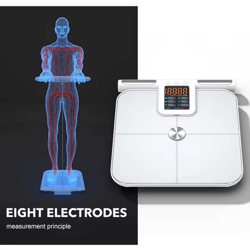 ハンドル付きのスマート体脂肪計,デジタル体重計,24の正確な - Body Fat Scale Smart のレビューと価格